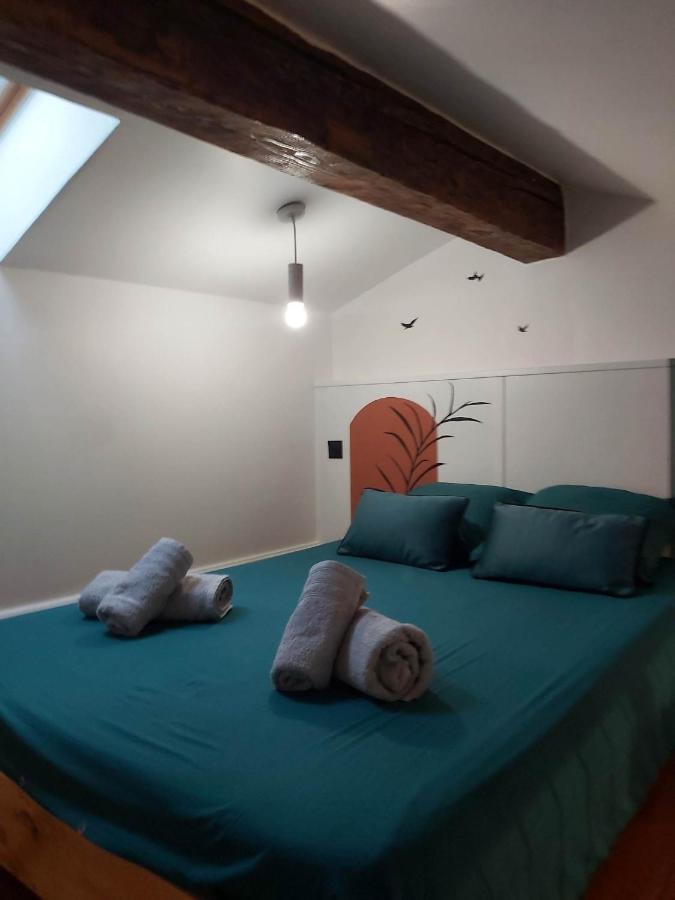 Le Studio D'Emma Apartamento Romans-sur-Isère Exterior foto
